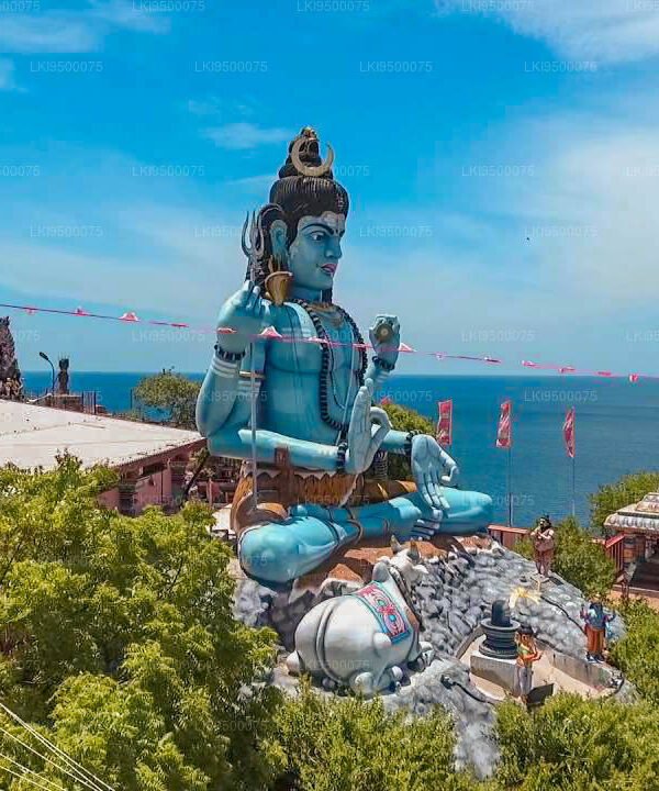 LKI9500075-01-E_b9676f68-bb02-4827-ad28-9de134e5b198